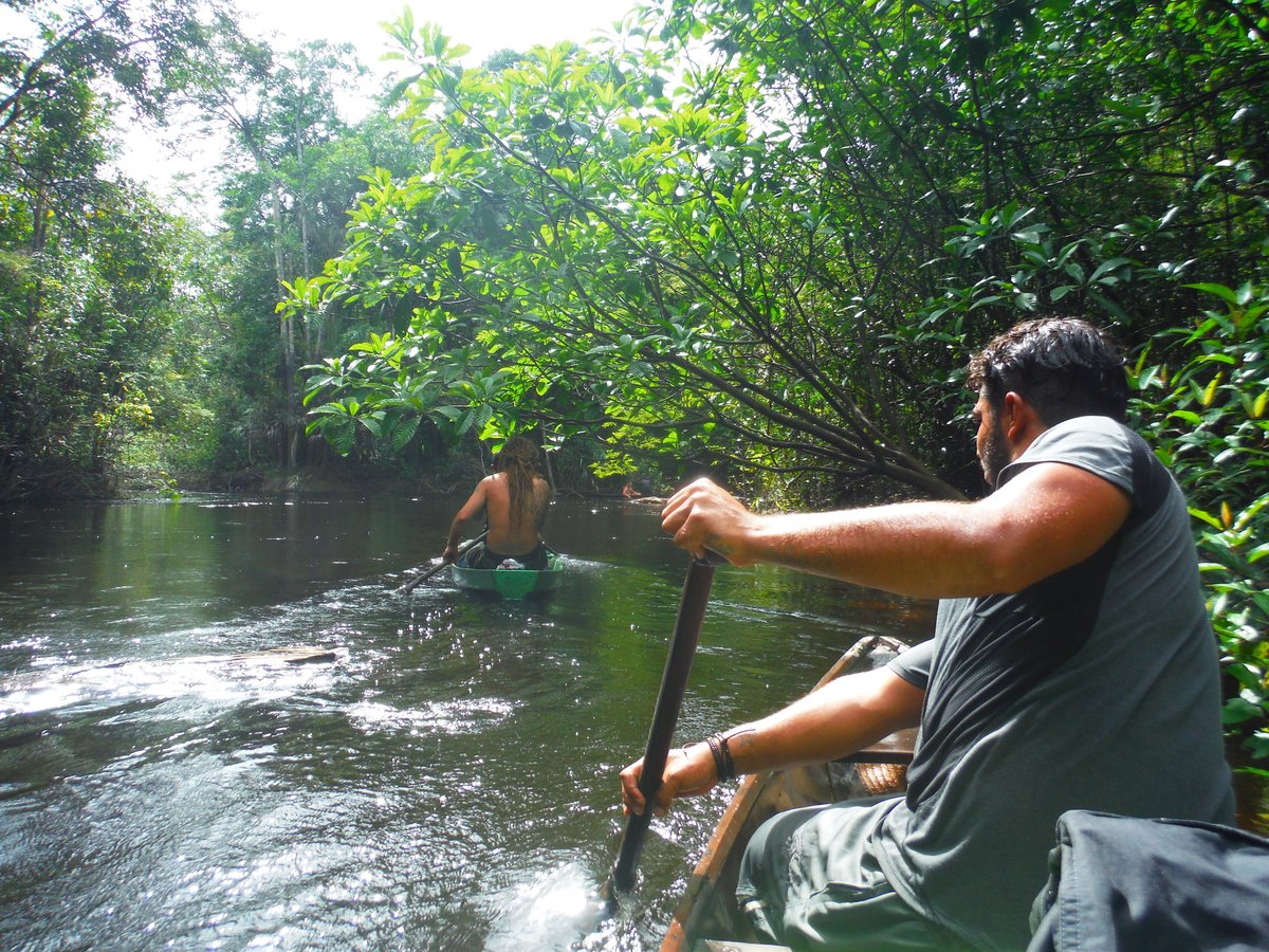 AMAZON DEEP JUNGLE TOURS (2025) All You MUST Know Before You Go