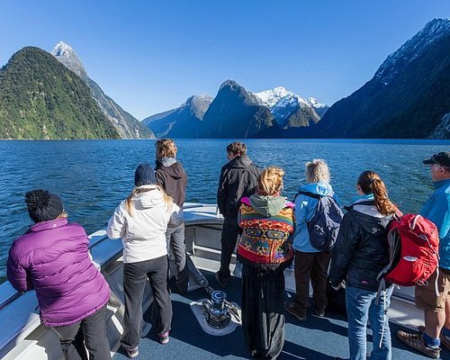 fiordland boat tours
