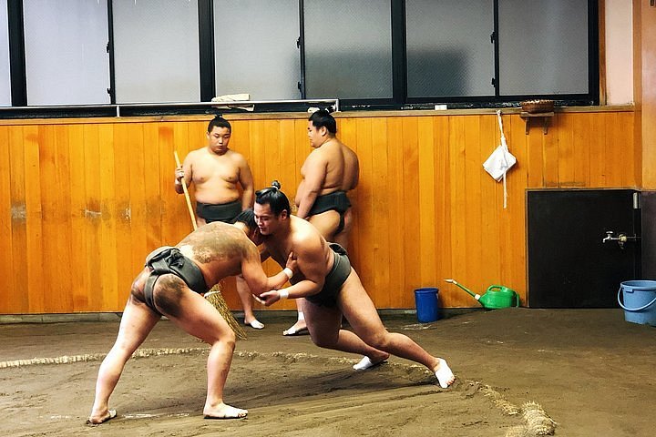 Rehabilitated sumo wrestler repays stablemaster with 1st