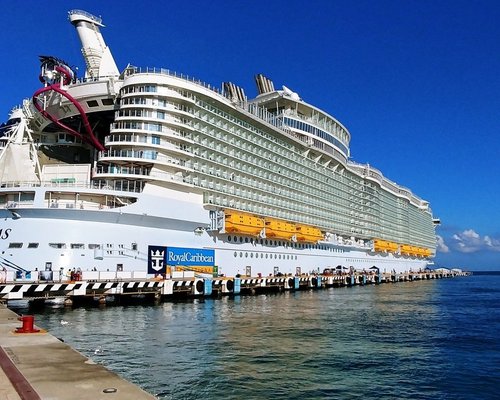 THE 10 BEST Port Canaveral Taxis & Shuttles (Updated 2024)