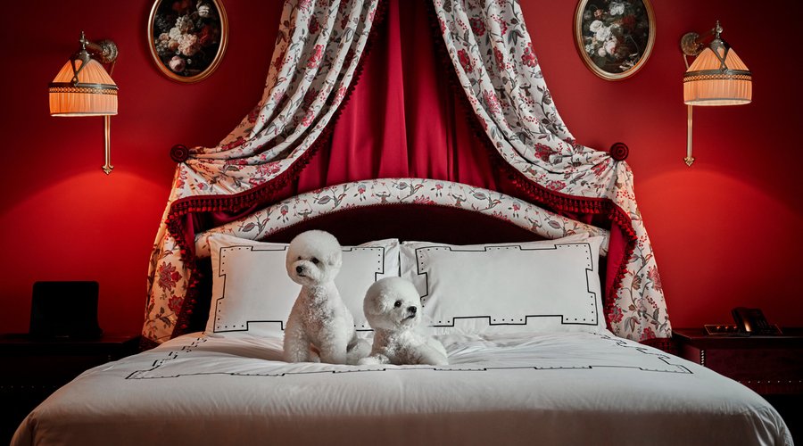 Atelier Deluxe (Pet-friendly) 