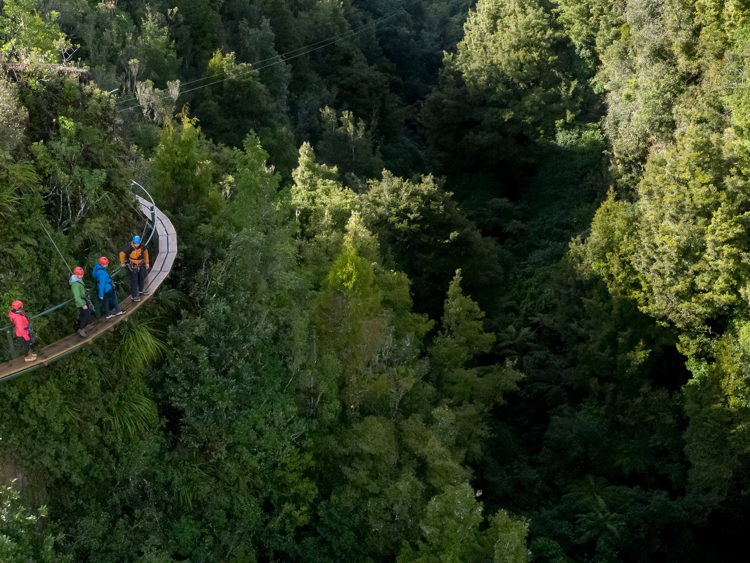 rotorua canopy tours reviews