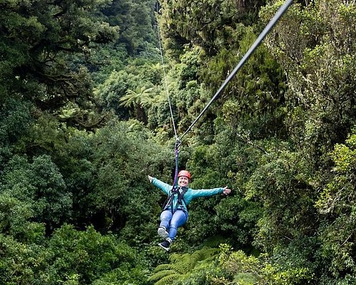 Aventure en tyrolienne dans la canopée de la forêt de Rotorua