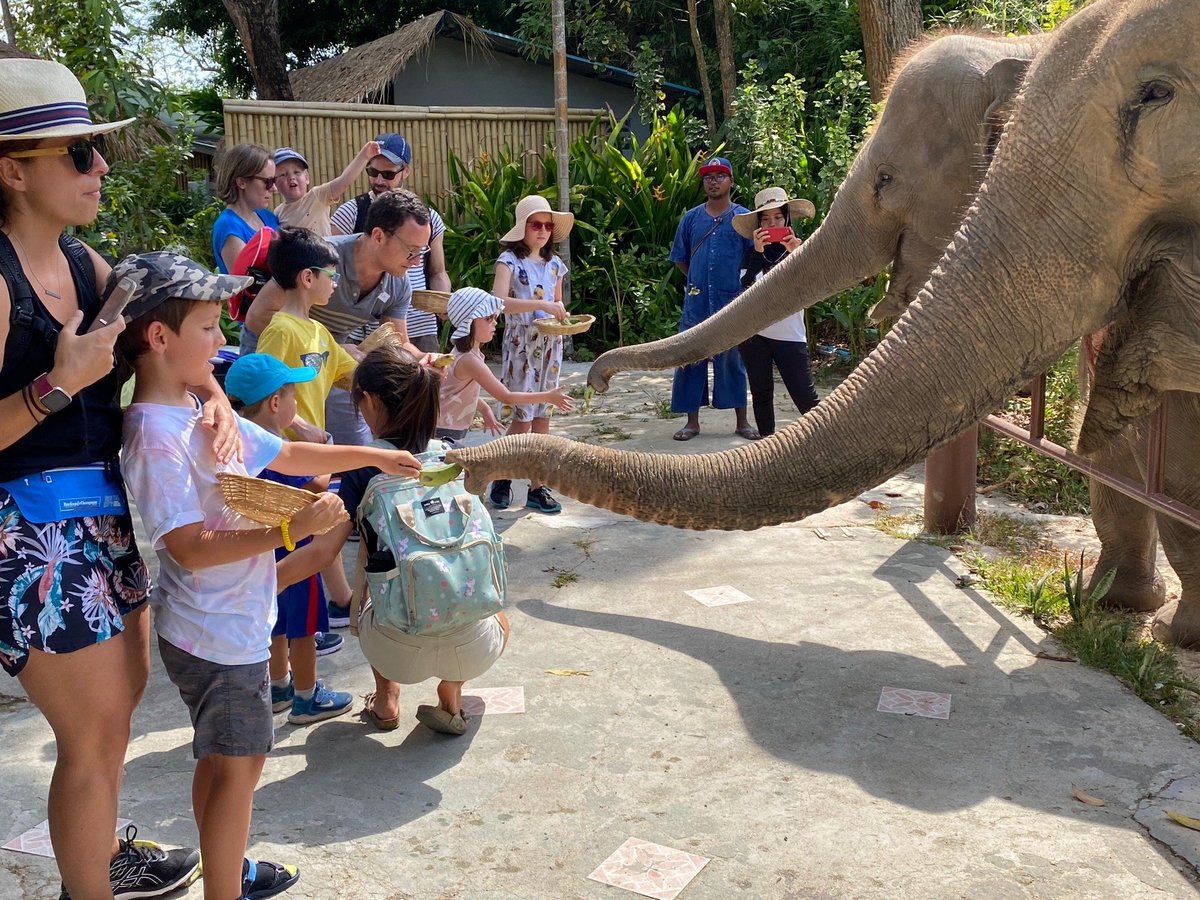 Tree Tops Elephant Reserve Phuket - All You Need To Know Before You Go