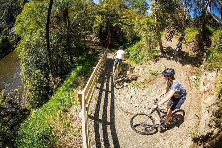 bike shops petone