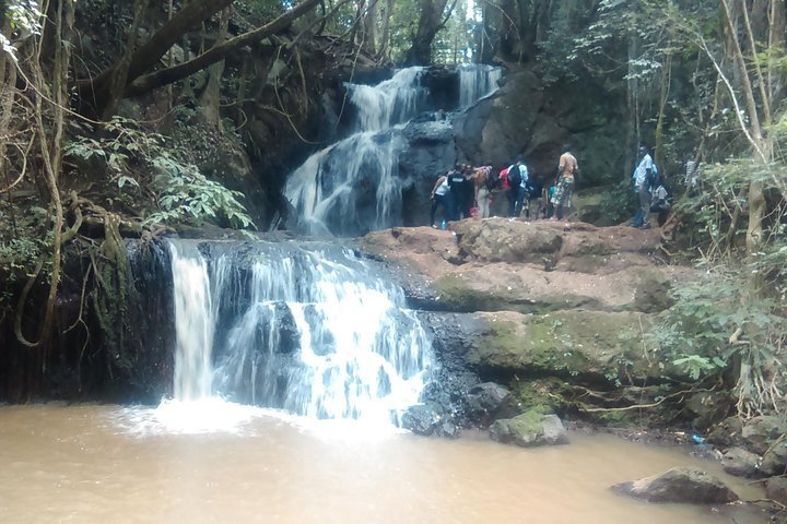 2024 Nairobi Day Tour to Karura Forest Hike, Trail Bike & Nature Walk