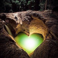 Os caprichos da natureza, em Killarney Glen, Austrália. ❤ Foto: @davekandotcom