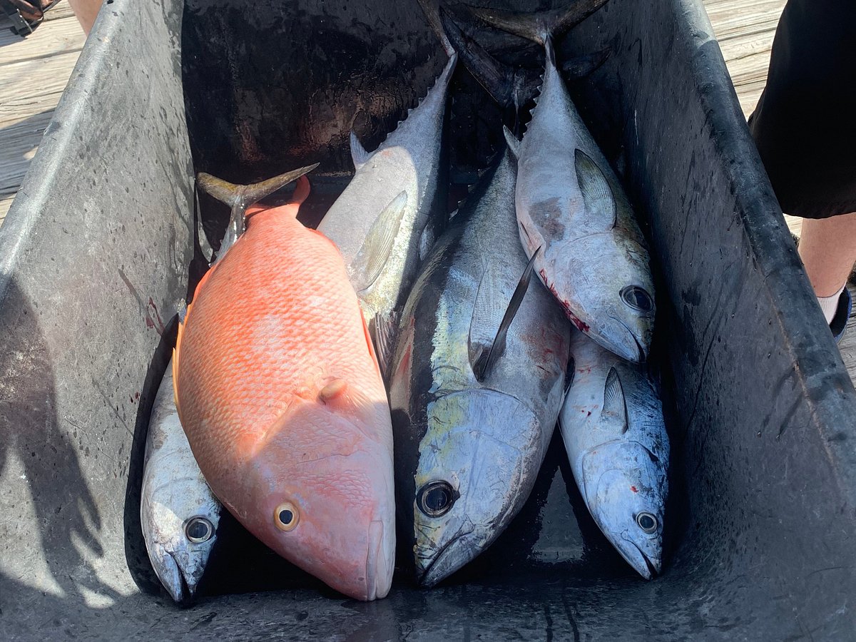 Key West fishing charters on Odyssea, Capt. Rush Maltz : fly