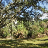 Lake Seminole Park - All You Need to Know BEFORE You Go