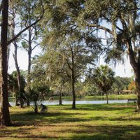 Lake Seminole Park - All You Need to Know BEFORE You Go