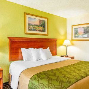 King Bed Guest Room