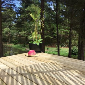 Lotus bell tent glamping