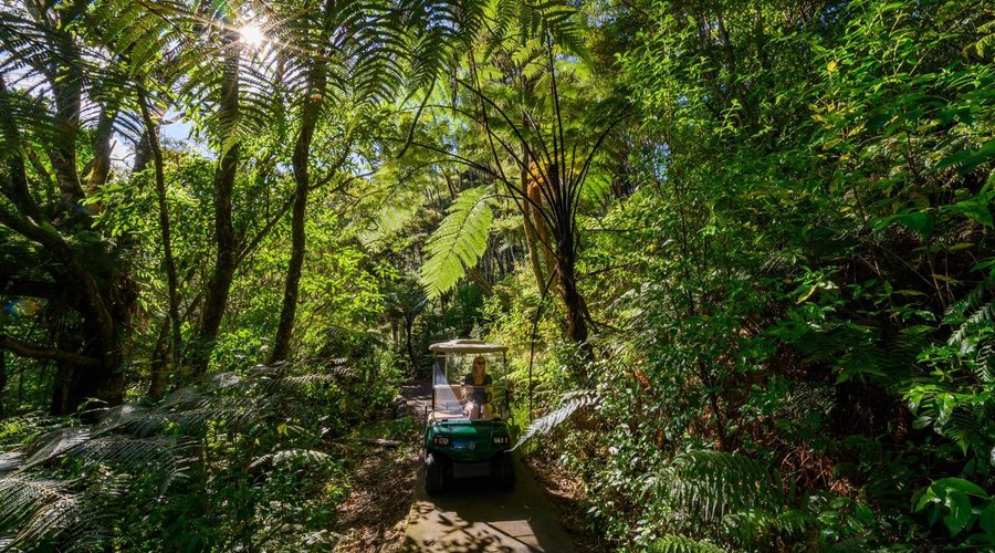 Trails around Paroa Bay Winery