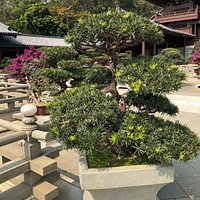 Chi Lin Nunnery (Hong Kong) - All You Need to Know BEFORE You Go