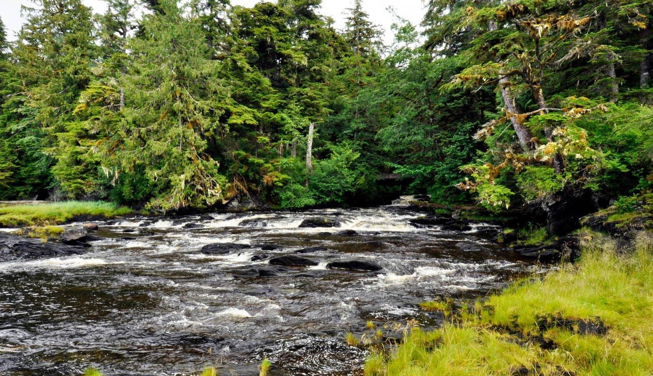 Tongass National Forest (จูโน, อลาสกา) - รีวิว - Tripadvisor