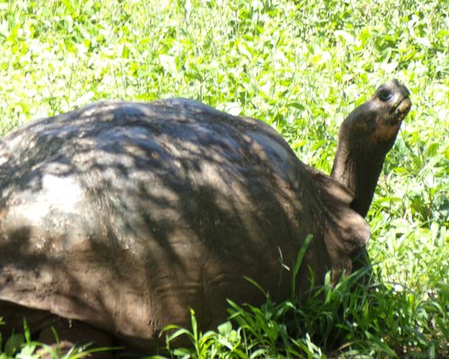 THE 10 BEST Galapagos Islands Sights & Landmarks (Updated 2023)