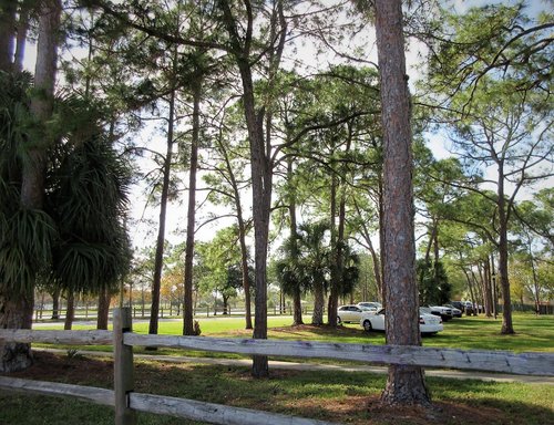 Pinellas Park Irina review images