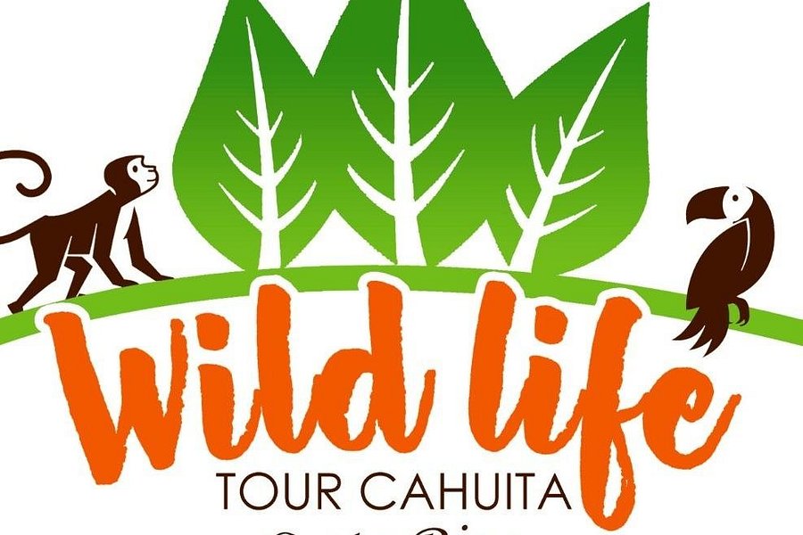 Wildlife Tour Cahuita image