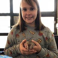 My favorite animal!