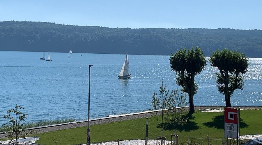 Zimmeraussicht auf den Uferpark und Bodensee