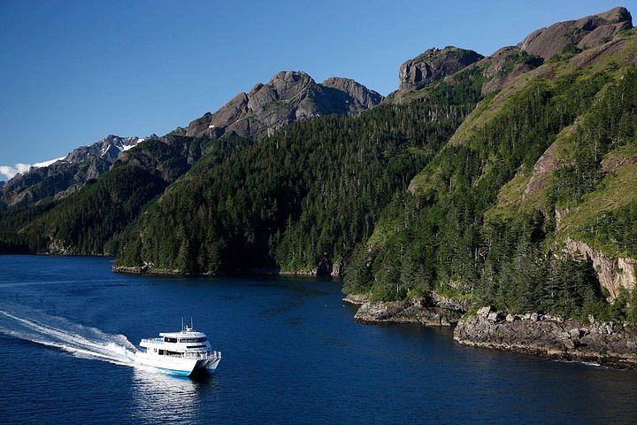 resurrection bay wildlife cruise to fox island