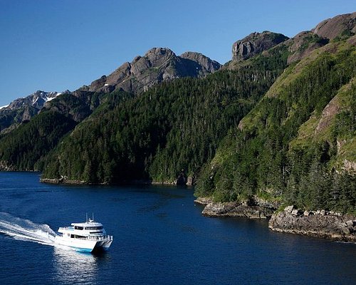 kenai fjord tours seward