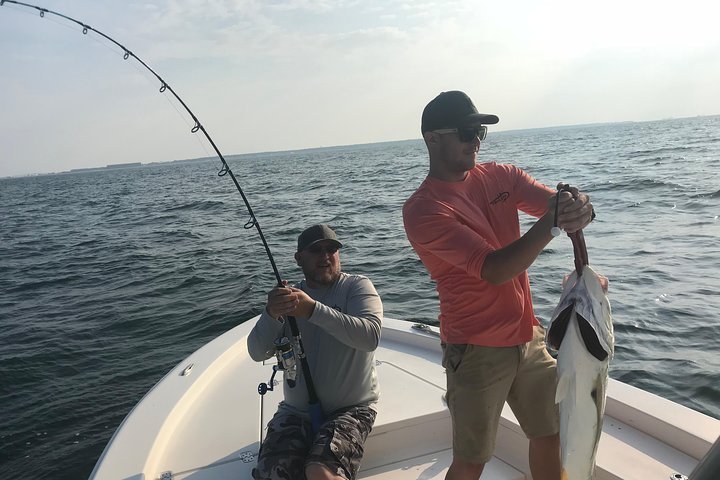 2024 Inshore Fishing Charter (Dauphin Island) - Tripadvisor