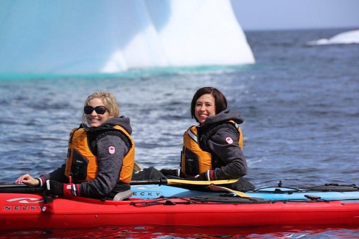 2024 Harbour Kayak Tour Tripadvisor   Caption 