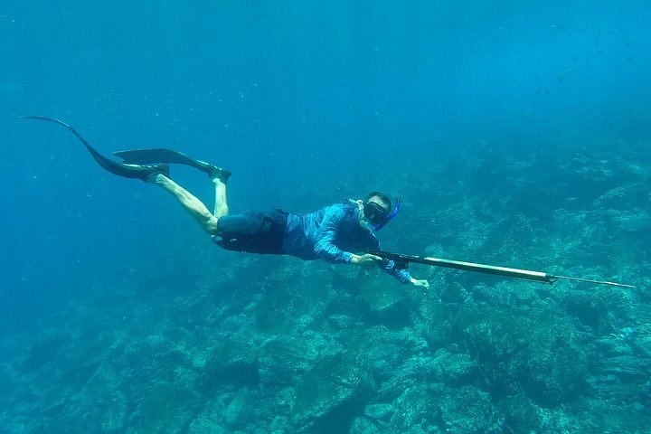 2024 Discover Spearfishing course provided by Freedive Costa Rica
