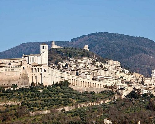tours from rome to assisi