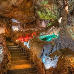 Cistermúsica na Sacristia e no bosque do Mosteiro de Alcobaça, mas também  em Coz e na Fórnea – Região de Leiria