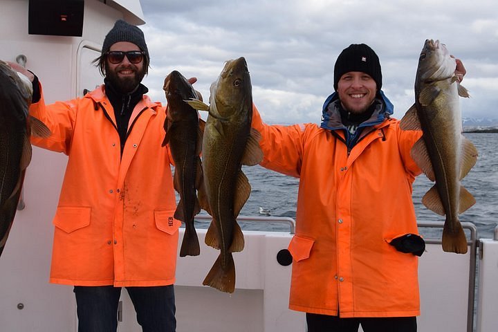 special tours reykjavik fishing