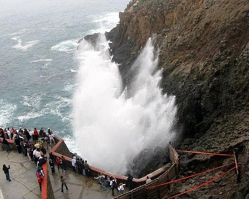 tour tijuana ensenada