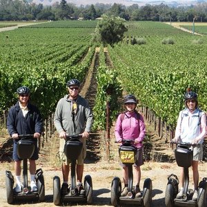 Buena Vista Winery (Sonoma) - All You Need to Know BEFORE You Go