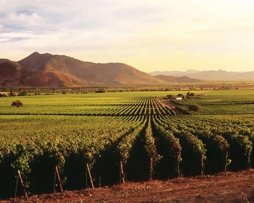 ensenada tourist guide