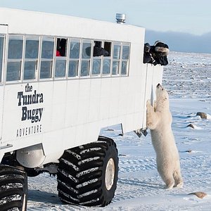 famous places to visit in manitoba
