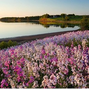 pei top tourist attractions