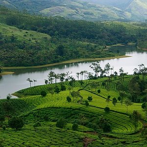 kerala tour packages for single person