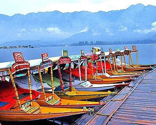 shah tours and travels kashmir