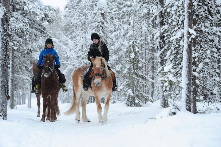 2024 Horseback Ridding Winter Trail in Arctic Circle