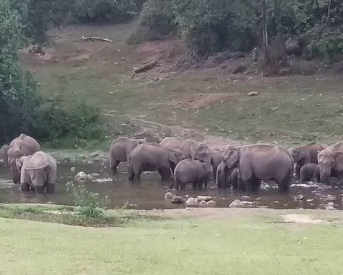 company safari kerala