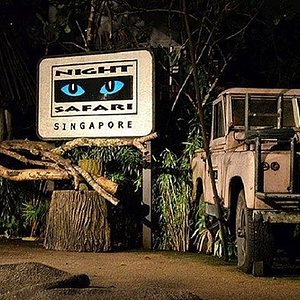 night safari website