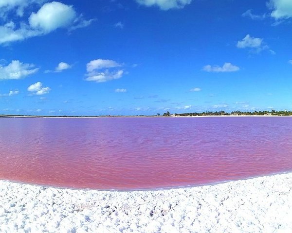 Las Coloradas Rio Lagartos 2023 Qué Saber Antes De Ir Lo Más