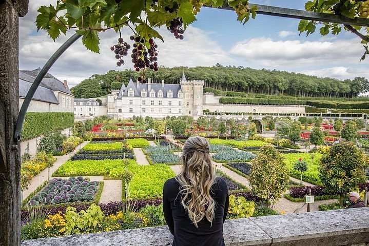 best wine tours in loire valley