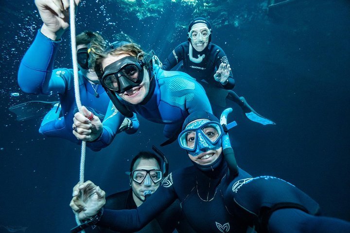 playa del carmen freediving