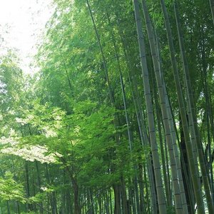 21年 小土肥海水浴場 行く前に 見どころをチェック トリップアドバイザー