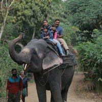 Elephant Junction (Thekkady) - All You Need to Know BEFORE You Go