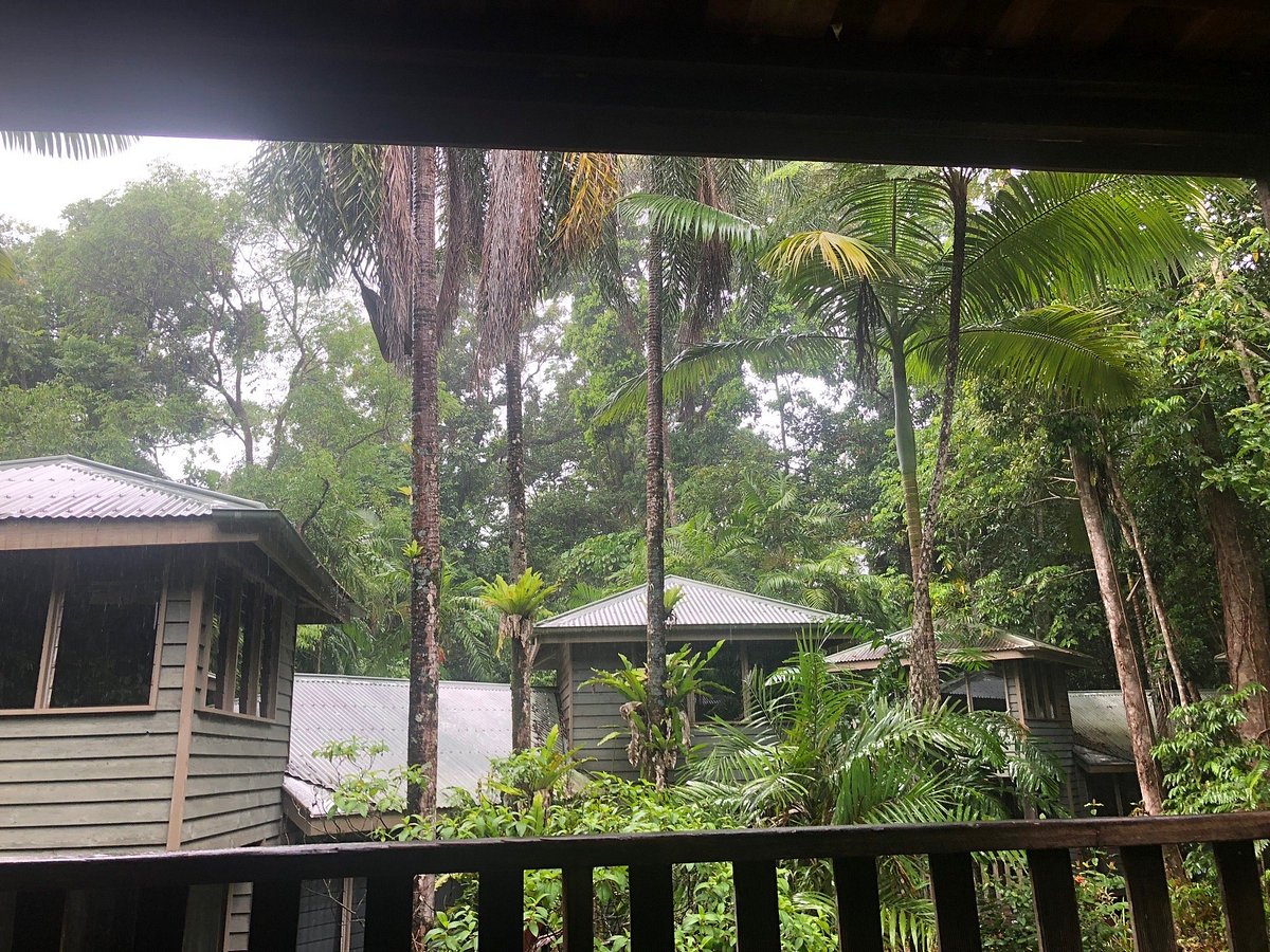 Ferntree Rainforest Lodge 115 Updated 2024 Prices And Hostel Reviews Cape Tribulation 5433