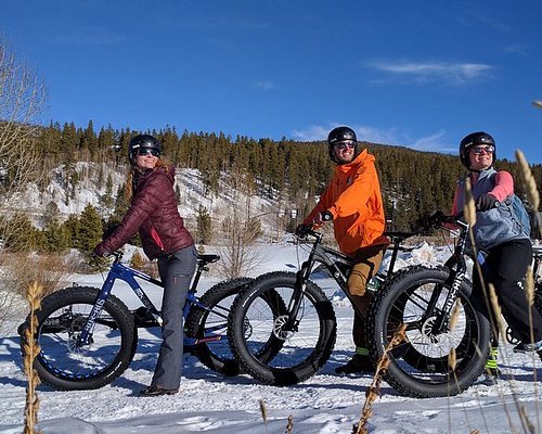 colorado beer tour