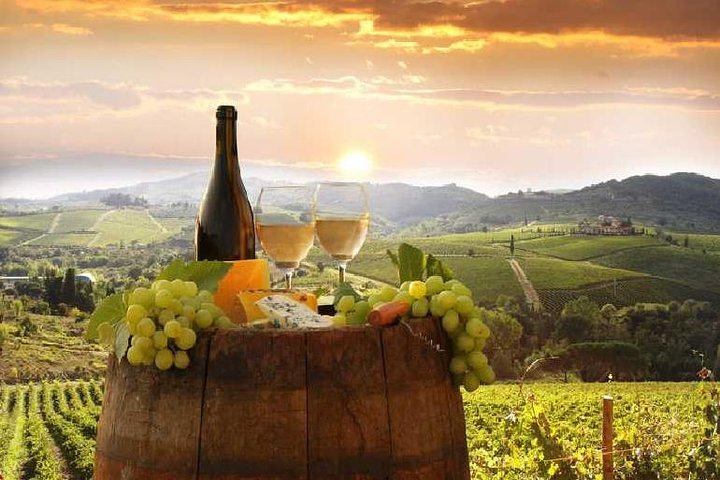 Tuscan wine clearance tours